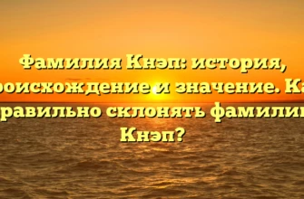 Фамилия Кнэп: история, происхождение и значение. Как правильно склонять фамилию Кнэп? Фамилия Кнэп: история, происхождение и значение. Как правильно склонять фамилию Кнэп?