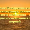Фамилия Комаренко: история происхождения, значения и особенности склонения — полный гид для исследования своих корней