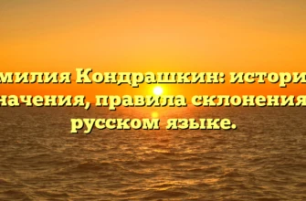 Фамилия Кондрашкин: история и значения, правила склонения в русском языке. Фамилия Кондрашкин: история и значения, правила склонения в русском языке.