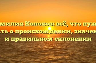Фамилия Конохов: всё, что нужно знать о происхождении, значении и правильном склонении Фамилия Конохов: всё, что нужно знать о происхождении, значении и правильном склонении