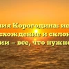 Фамилия Корогодина: история, происхождение и склонение фамилии — все, что нужно знать!
