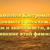 Фамилия Костромин: исследование происхождения, истории и значимости, а также склонение этой фамилии