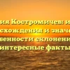 Фамилия Костромичев: история происхождения и значения, особенности склонения и интересные факты
