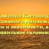 Фамилия Костяница: исследование происхождения, истории и значимости, а также правильное склонение