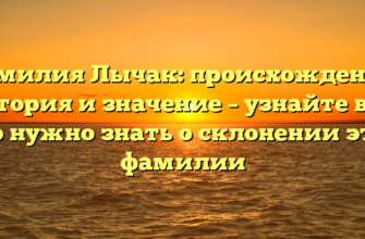 Фамилия Лычак: происхождение, история и значение – узнайте все, что нужно знать о склонении этой фамилии