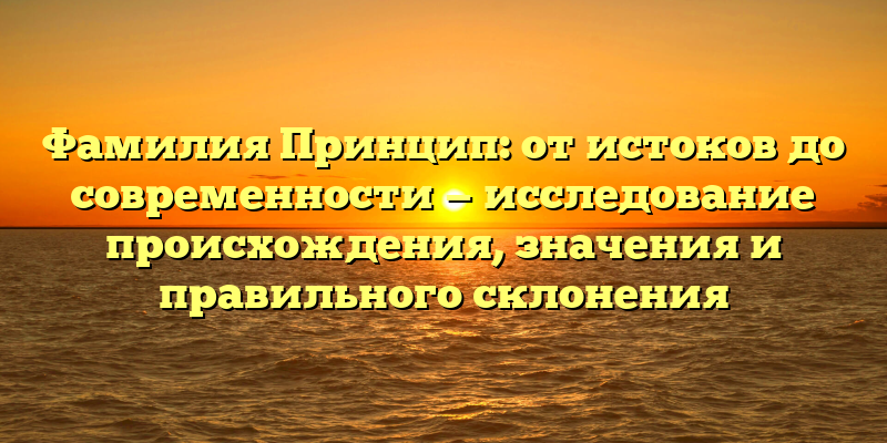 Фамилия Принцип: от истоков до современности — исследование происхождения, значения и правильного склонения