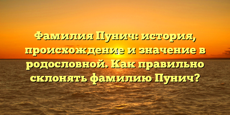 Фамилия Пунич: история, происхождение и значение в родословной. Как правильно склонять фамилию Пунич?