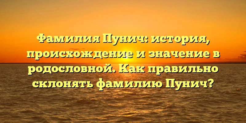Фамилия Пунич: история, происхождение и значение в родословной. Как правильно склонять фамилию Пунич? Фамилия Пунич: история, происхождение и значение в родословной. Как правильно склонять фамилию Пунич?
