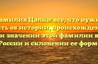 Фамилия Цалко: все, что нужно знать об истории, происхождении и значении этой фамилии в России и склонении ее форм.