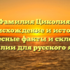 Фамилия Циколия: происхождение и история, интересные факты и склонение фамилии для русского языка