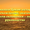 Фамилия Цоков: история происхождения, значение и правила склонения — полное руководство