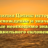 Фамилия Цопик: история, происхождение и значения, которые необходимо знать для правильного склонения