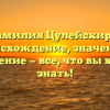 Фамилия Цулейскири: происхождение, значение и склонение — все, что вы хотели знать!