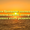 Фамилия Цыбанев: исследование происхождения, истории и склонения этого редкого рода
