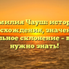 Фамилия Чауш: история происхождения, значения и правильное склонение – все, что нужно знать!