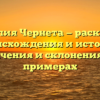 Фамилия Чернета — раскрытие происхождения и истории, значения и склонения на примерах