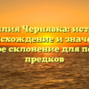 Фамилия Чернявка: история, происхождение и значение, полное склонение для поиска предков