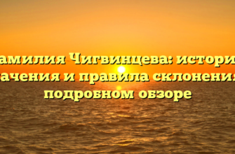 Фамилия Чигвинцева: история, значения и правила склонения в подробном обзоре