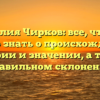 Фамилия Чирков: все, что вам нужно знать о происхождении, истории и значении, а также правильном склонении