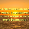 Фамилия Чмошников: все, что вы хотели знать о происхождении, истории, значении и склонении этой фамилии!