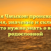 Фамилия Чмыхов: происхождение и история, значение и склонение — все, что нужно знать о вашей родословной