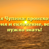 Фамилия Чупина: происхождение, история и склонение, все, что нужно знать!