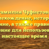 Фамилия Чуфистова: происхождение, история и значение, а также правильное склонение для использования в настоящее время