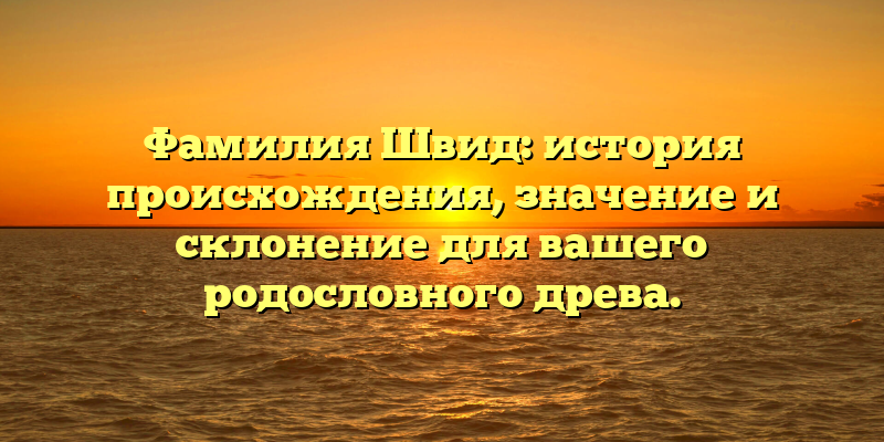 Фамилия Швид: история происхождения, значение и склонение для вашего родословного древа.