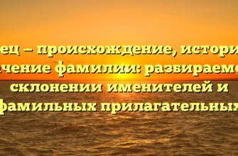 Швец — происхождение, история и значение фамилии: разбираемся в склонении именителей и фамильных прилагательных