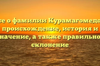 Все о фамилии Курамагомедов: происхождение, история и значение, а также правильное склонение Все о фамилии Курамагомедов: происхождение, история и значение, а также правильное склонение