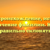 Гайбу: происхождение, история и значение фамилии. Как правильно склонять?
