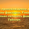 Гайшун: происхождение, история и значение фамилии. Узнайте, как правильно склонять фамилию Гайшун.