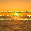 Генеалогия фамилии Гано: происхождение, история и особенности склонения