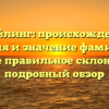 Дрейлинг: происхождение, история и значение фамилии, а также правильное склонение – подробный обзор