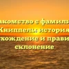 Знакомство с фамилией Книппель: история, происхождение и правильное склонение