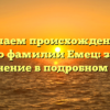Изучаем происхождение и историю фамилии Емец: значение и склонение в подробном обзоре.