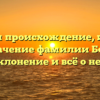 Изучаем происхождение, историю и значение фамилии Борис: склонение и всё о ней