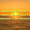 Изучаем происхождение, историю и значение фамилии Гаевая: склонение и особенности.