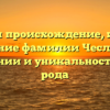 Изучаем происхождение, историю и значение фамилии Чеслок: все о склонении и уникальности этого рода