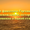 Изучаем фамилию Горчаковский: происхождение, история и склонение в одной статье