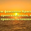 Изучаем фамилию Красицкий: история происхождения, значение и правила склонения