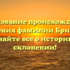 Исследование происхождения и значения фамилии Бриккер: узнайте все о истории и склонении!