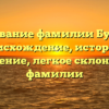Исследование фамилии Бурденюк: происхождение, история и значение, легкое склонение фамилии