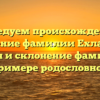 Исследуем происхождение и значение фамилии Ехлакова: история и склонение фамилии на примере родословной