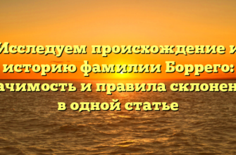 Исследуем происхождение и историю фамилии Боррего: значимость и правила склонения в одной статье