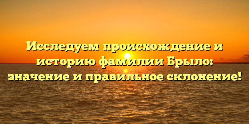 Исследуем происхождение и историю фамилии Брыло: значение и правильное склонение!