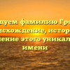 Исследуем фамилию Громеко: происхождение, история и склонение этого уникального имени