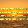Исследуем фамилию Елисейкин: происхождение, значение и правильное склонение для вашей генеалогической зарисовки