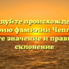 Исследуйте происхождение и историю фамилии Чеплухов, узнайте значение и правильное склонение