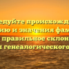 Исследуйте происхождение, историю и значения фамилии Бодда: правильное склонение и секреты генеалогического поиска